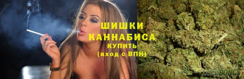 blacksprut как войти  Майский  Марихуана OG Kush 